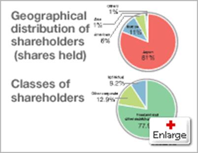 Geographical Distribution of Shareholders (Shares Held) and Classes of Shareholders