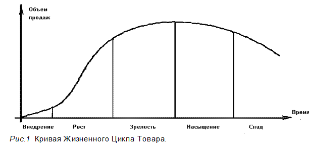 Реферат: Исследование влияния фактора времени на жизненный цикл товара на примере тортов